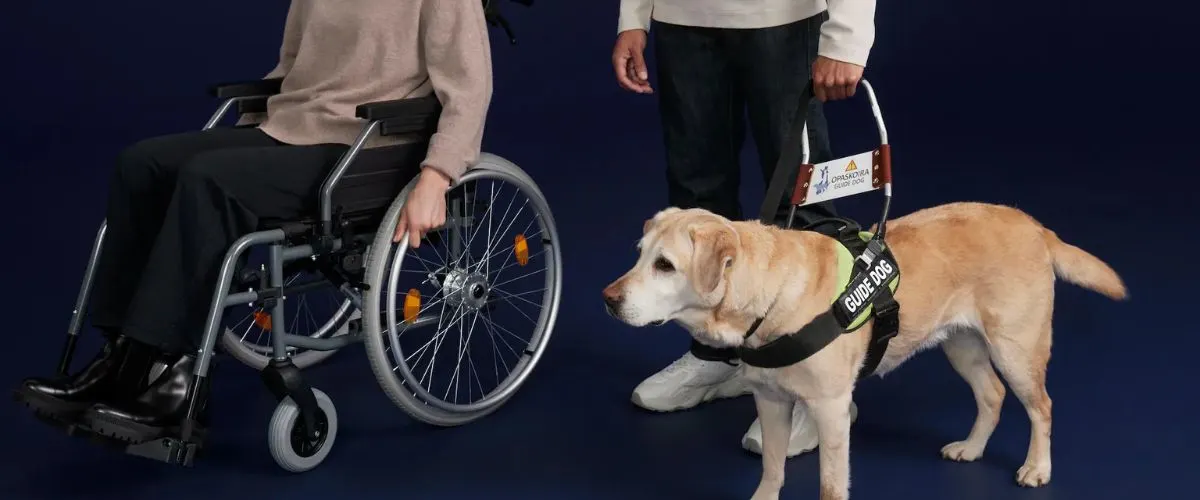 Finnair Special Assistance